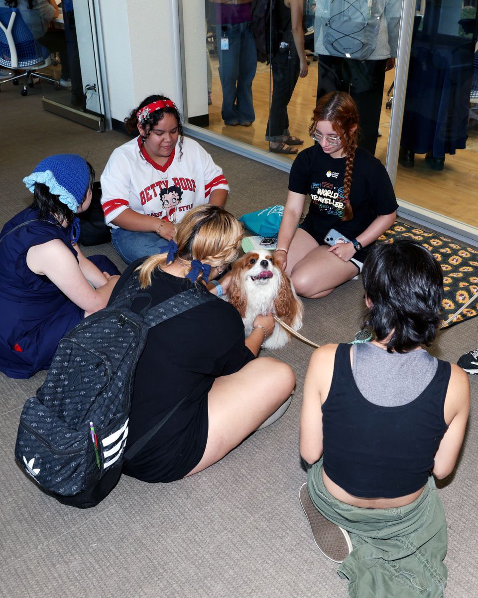 utalibraries's tweet photo. Need a break from the semester? Doggy Days is back Oct. 28.

Come visit with therapy dogs, take a breather and learn how these amazing dogs help people. Your to-do list can wait a few minutes. https://t.co/QOIBveWSvB
