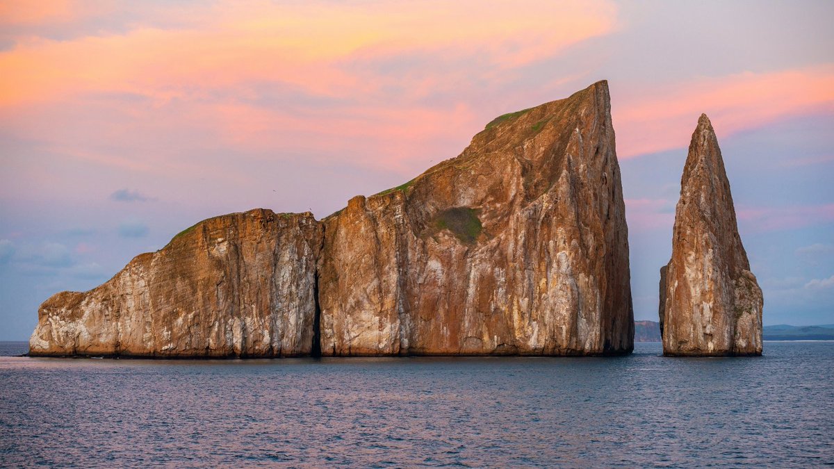 Blue_Parallel's tweet photo. Diving in the #Galapagos offers encounters found few other places on Earth. 🤿 Swim alongside hammerhead sharks, sea turtles, rays, sea lions, and marine iguanas as you explore the archipelago's extraordinary underwater ecosystems. #Ecuador #LuxuryTravel https://t.co/Dy82Fd9zvq https://t.co/s9ScIJTpc5