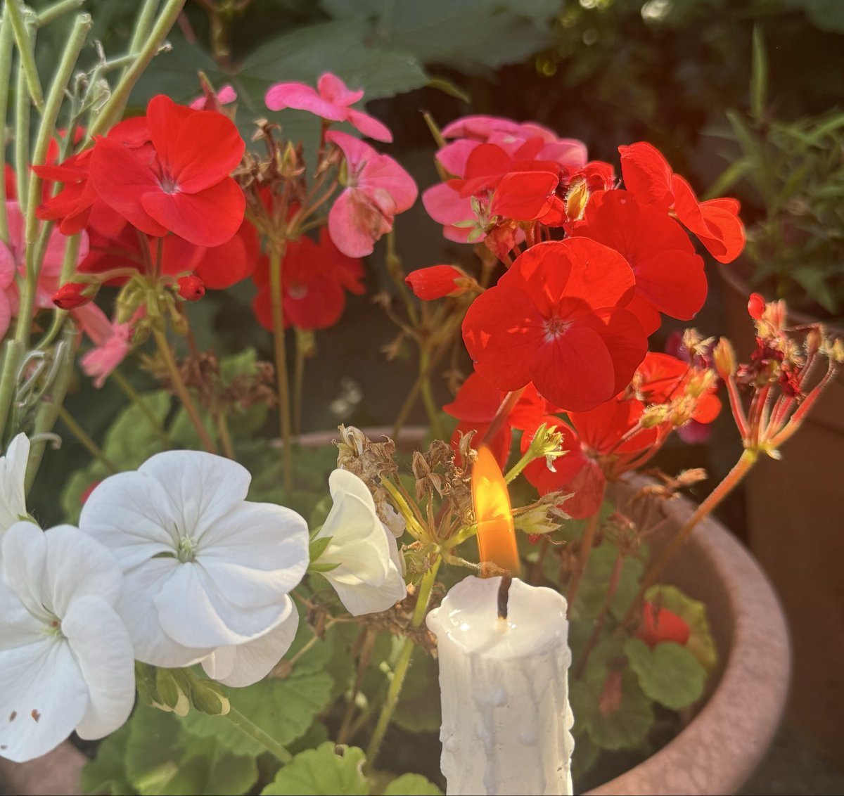 DrDMacaskill's tweet photo. Tonight I light this week’s #candleforcare with a focus on the #mentalhealth needs of those who are #older not least those living with life long and enduring mental health conditions. #WorldMentalHealthDay https://t.co/LfR8LyeUsH
