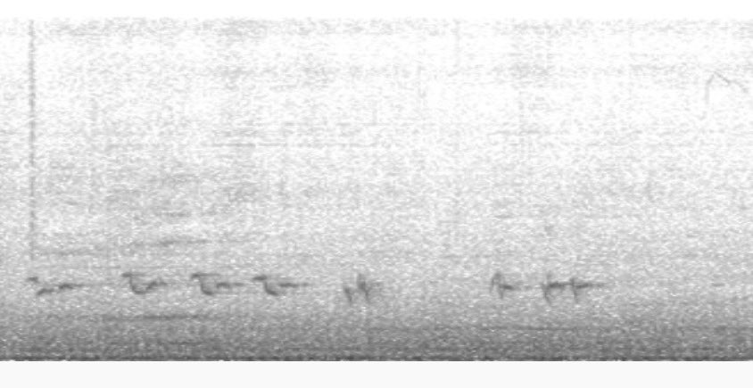 XxBugL0verxX's tweet photo. This bird call sound wave looks like a little bird. https://t.co/9QwN5aU6Bz