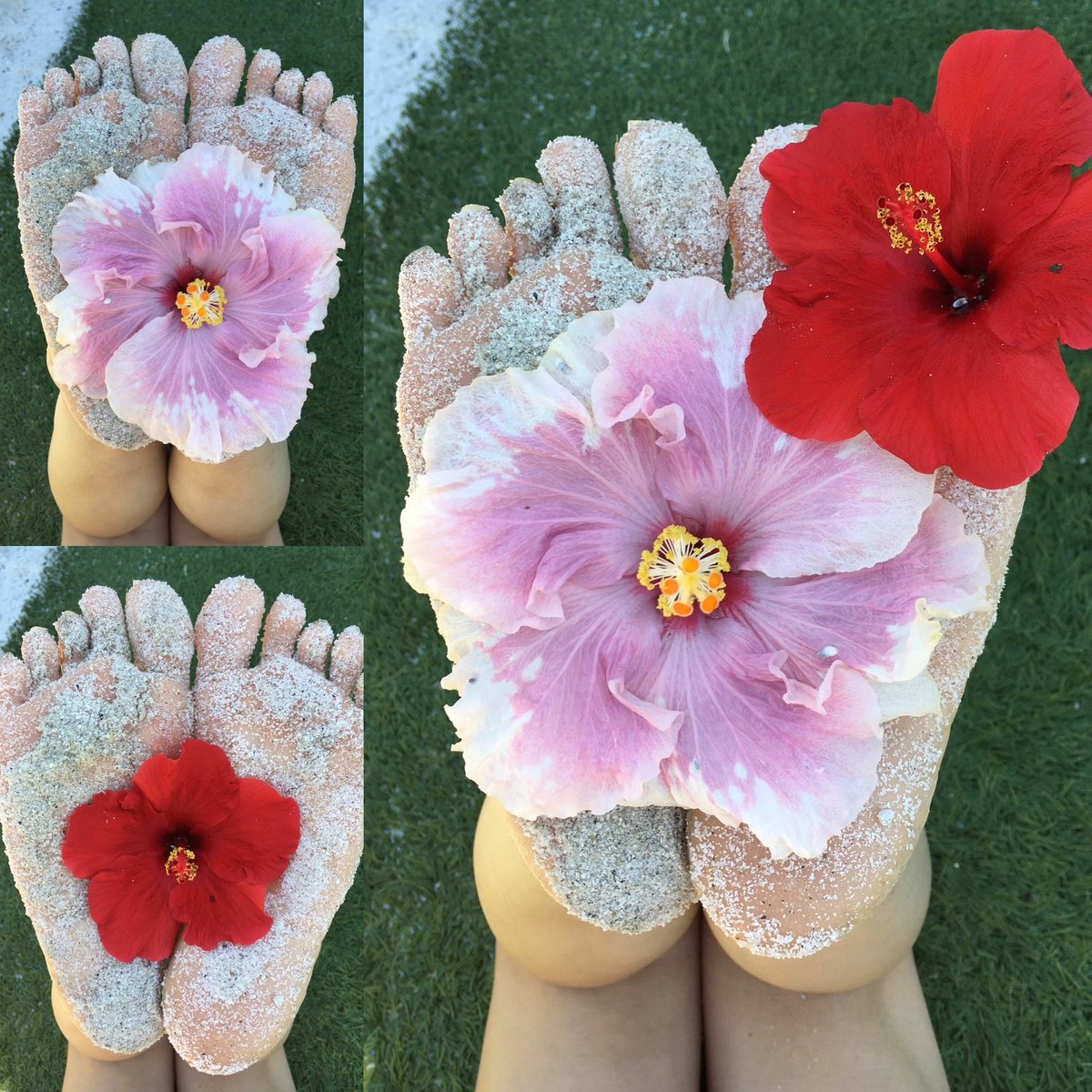 SweetBoxxxCandy's tweet photo. Soft Opening!  🍭Welcome To SweetBoxxx Candy Shop🍭 Sharing a tiny sample of a sweet treat. 🍫 #SweetBoxx #SweetBoxxxCandyShop #feet #sandytoes #amateur #amateurcreator #firstpost #fyp https://t.co/3wAlpKewRW