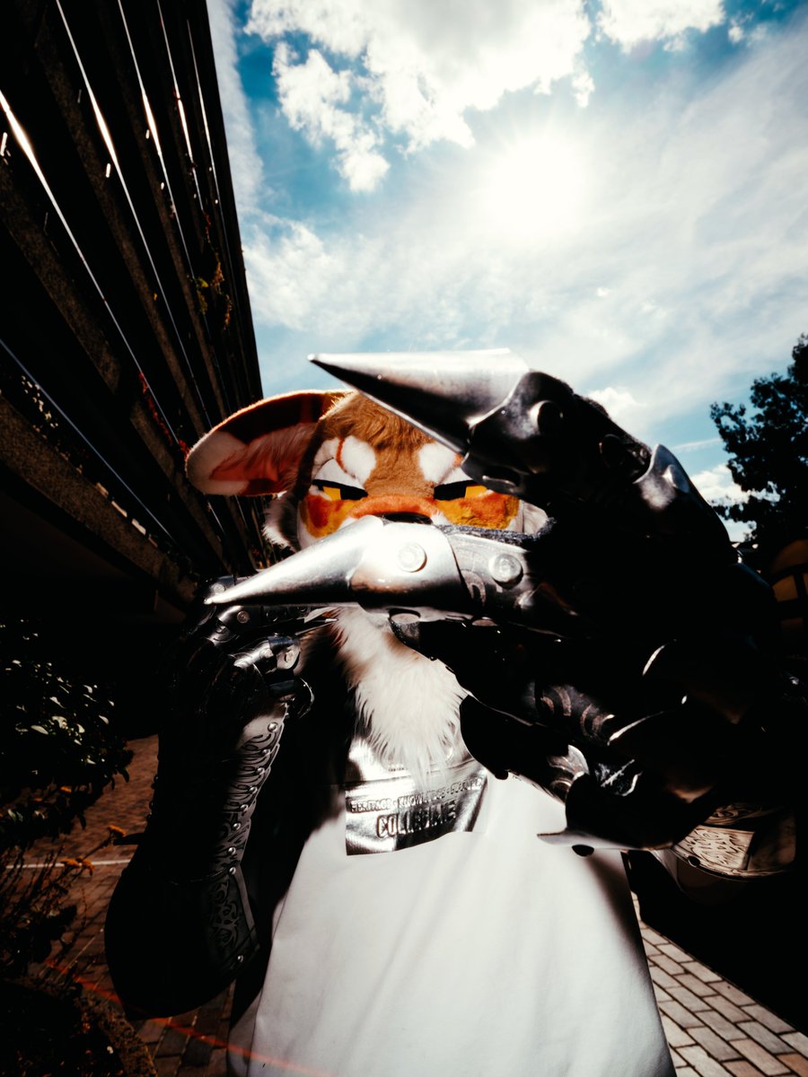 Arkofur's tweet photo. brutalist furry photos from my portfolio https://t.co/j1pFWRKb5m
