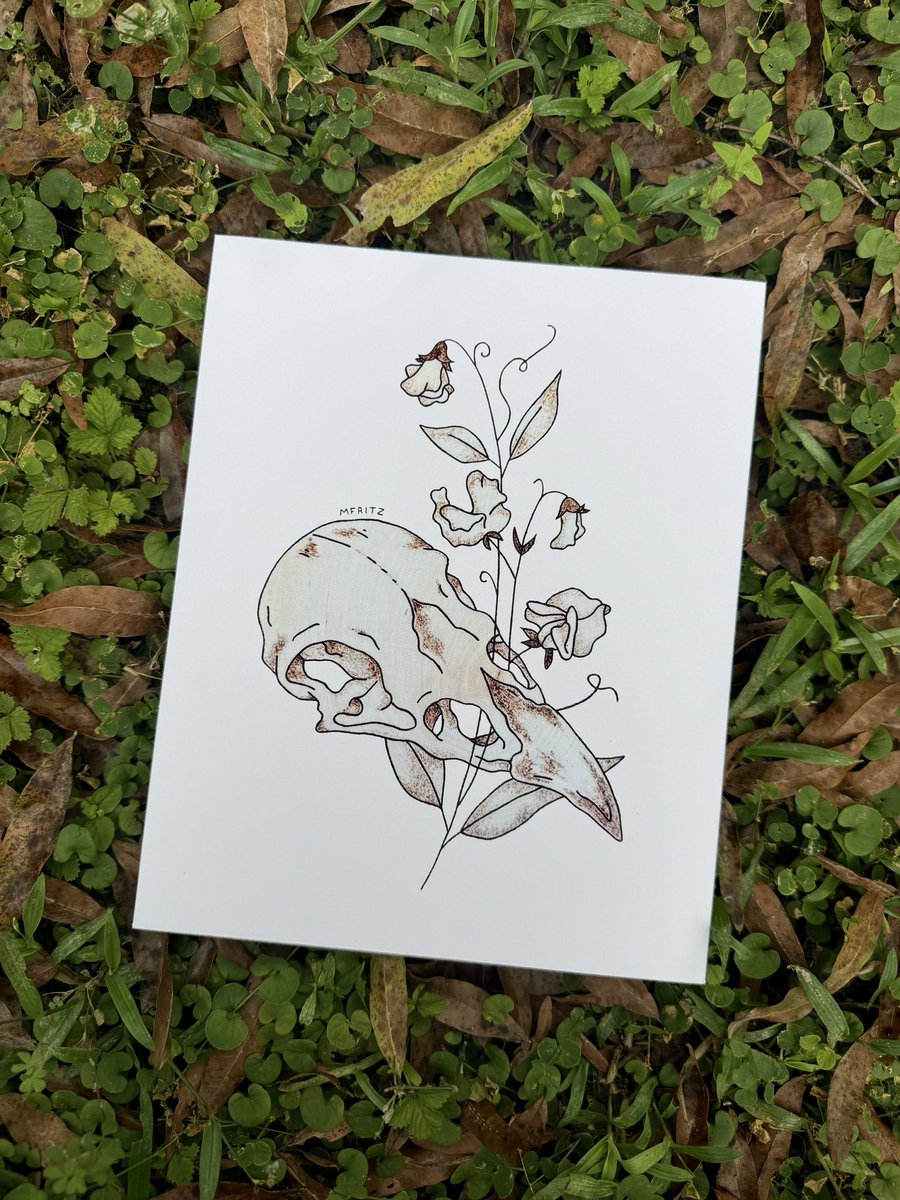 mfritz_art's tweet photo. Raven Skull and Sweet Pea art prints are now available!! 🐦‍⬛✨ https://t.co/4qlHs2Gx2B