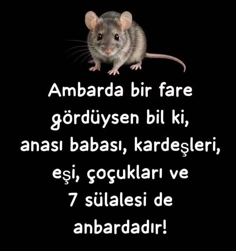 nevrizcelik's tweet photo. Ne kadar doğru anlatmış 
.
.
. https://t.co/6OovS2gBgy