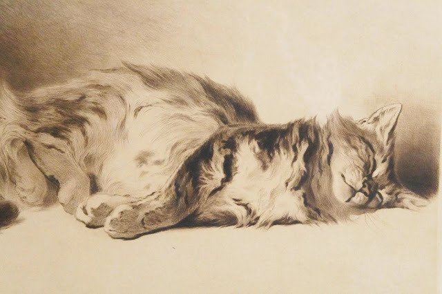 ArtorOtherThing's tweet photo. Ferdinand Oger - Cat lying down basking (ca. 1900) https://t.co/qCOvditlSg