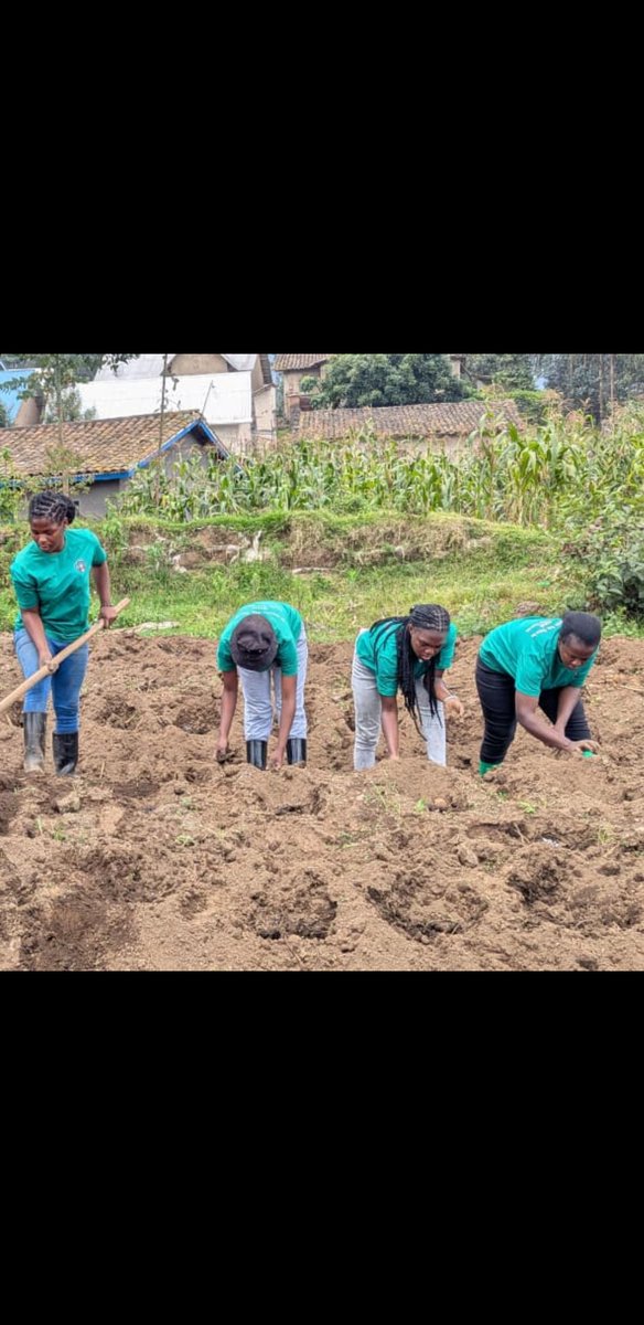 CelineNiyo48494's tweet photo. Strong women, strong farms, strong communities, and strong future.
#WomenInAgriculture
#AgriTech
#FoodSecurity https://t.co/FSN2iRYveB