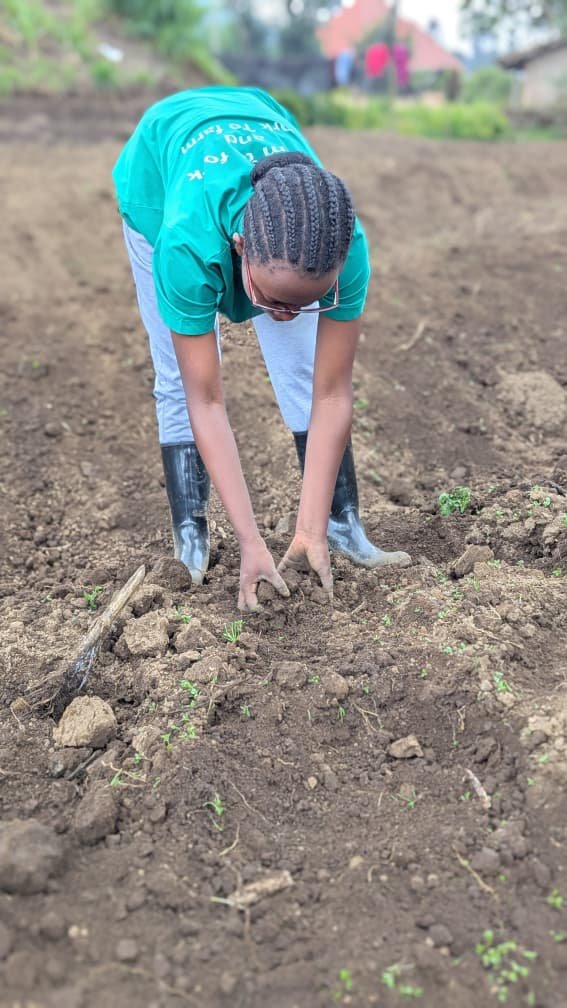 CelineNiyo48494's tweet photo. Strong women, strong farms, strong communities, and strong future.
#WomenInAgriculture
#AgriTech
#FoodSecurity https://t.co/FSN2iRYveB