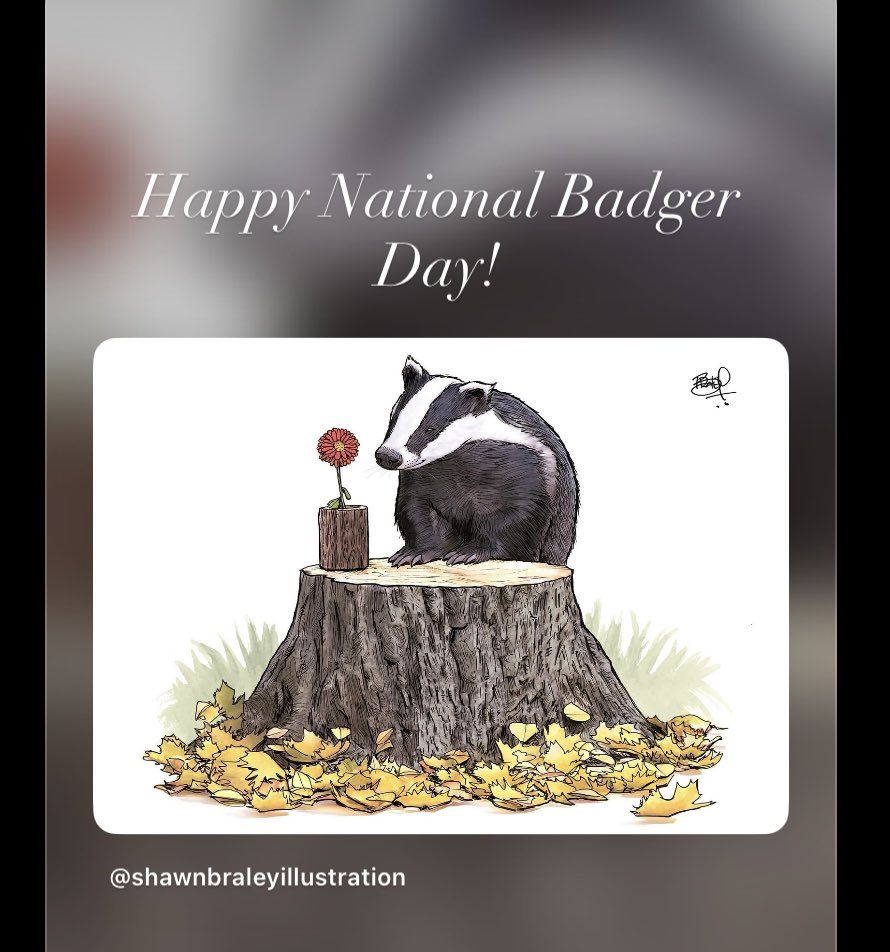 ScorpioLisaM's tweet photo. October 6th is National Badger Day in the U.K. Art by Shawn Braley. #badgerday #NationalBadgerDay #badger #spiritanimal https://t.co/AdQAzEPQDE
