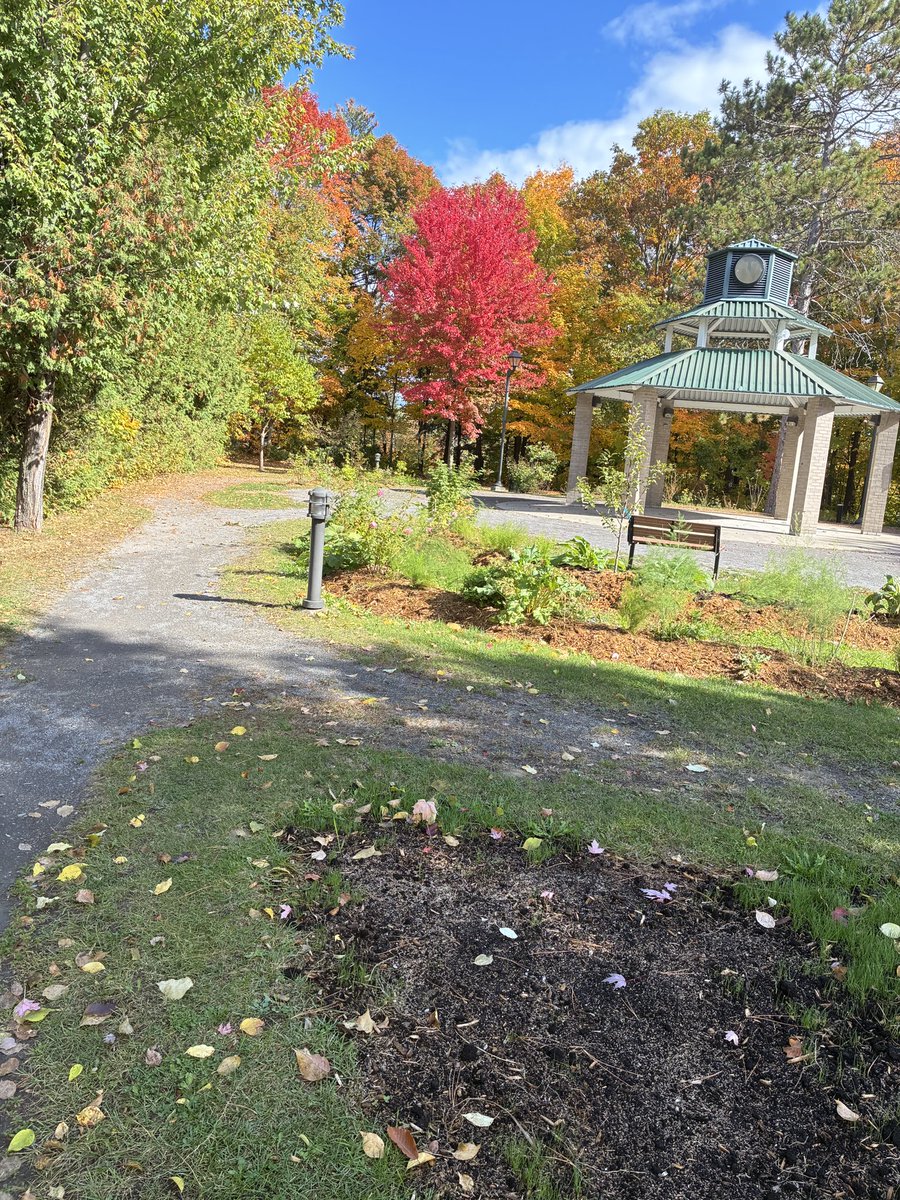 JohnCarzello's tweet photo. A lovely place to stroll around or read a book 📕; Especially on a warm #Autumn 🍂 day 
#RawdonQuebec ☘️❤️🙏 https://t.co/84wA2QkZVw