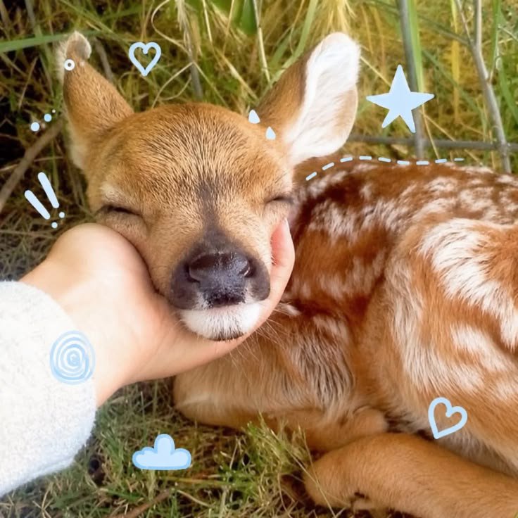 softlymagicall's tweet photo. https://t.co/qLzWuFuQxV