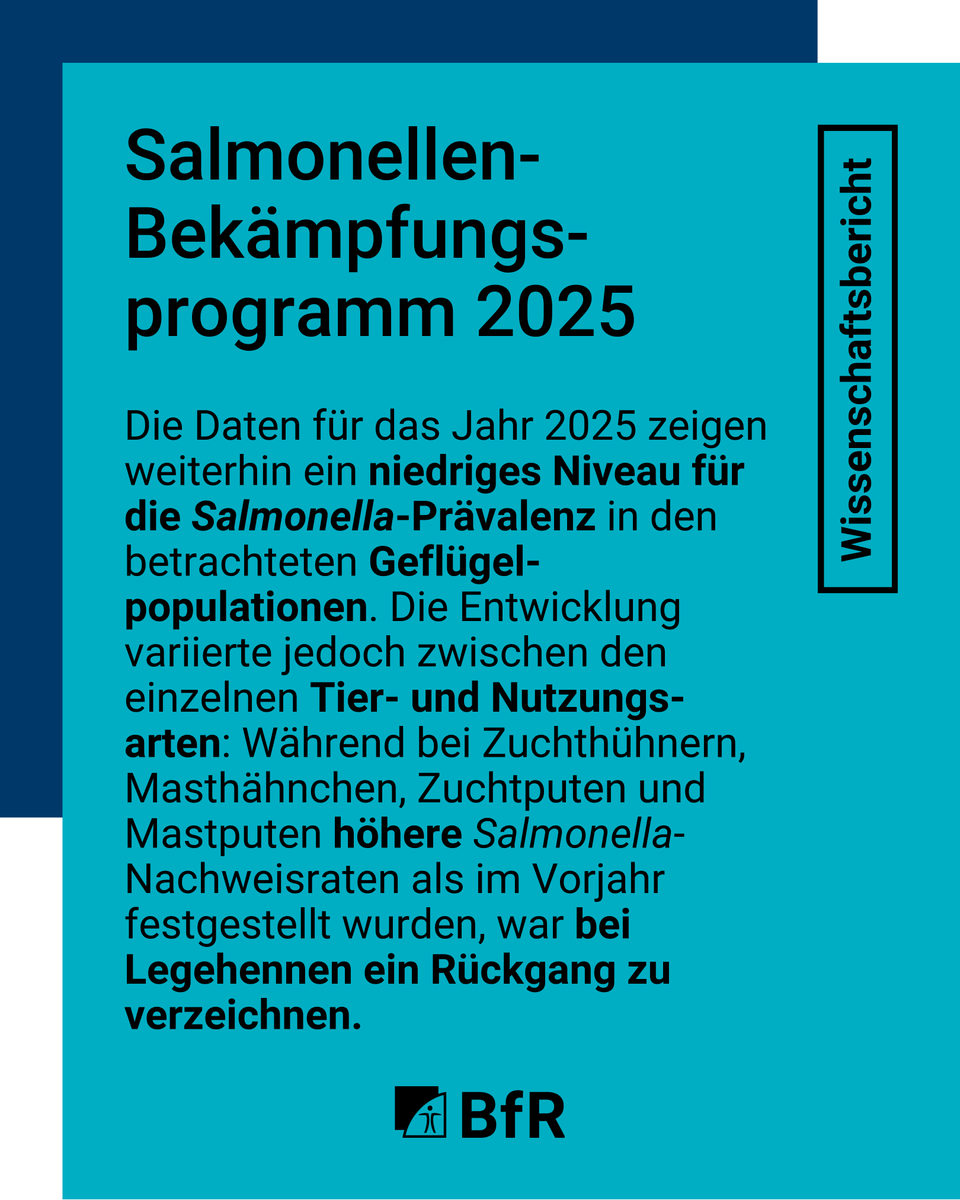bfrde's tweet photo. Auf Basis der jährlich übermittelten Daten der Länder aus betriebseigenen Kontrollen der Lebensmittelunternehmer und aus der amtlichen Überwachung erstellt das BfR einen nationalen Bericht zum Bekämpfungsprogramm. Hier ist der Bericht für das Jahr 2025.

➡️https://t.co/2chZlyDaP4 https://t.co/1Tp5eQFWrW