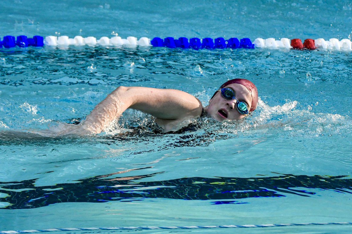 GoFlashWin's tweet photo. 🐾🏐🏈⛳️🏊🎾 Lots of Bearcat action happening on https://t.co/TBUfYUtPyk. Get more photos of Brookland-Cayce Volleyball, Football, Swim, Women’s Tennis and Women’s Golf. Go check it out! https://t.co/quMPMpsjHL