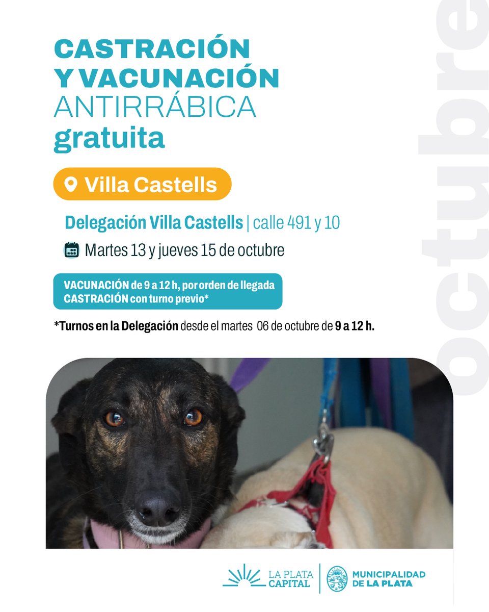 LaPlataMLP's tweet photo. ATENCIÓN | NUEVAS JORNADAS DE VACUNACIÓN ANTIRRÁBICA 🐶😺 Tomá nota y acercate con tu perro y/o gato al punto más cercano:

📍Plaza San Francisco de Asis, Romero.
📍Delegación de Villa Castells.
📍SUM "Barrio Nuevo", Ringuelet.

¡Los esperamos! https://t.co/gtZS1lB2yg