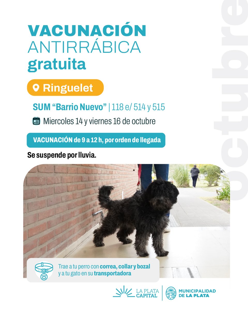 LaPlataMLP's tweet photo. ATENCIÓN | NUEVAS JORNADAS DE VACUNACIÓN ANTIRRÁBICA 🐶😺 Tomá nota y acercate con tu perro y/o gato al punto más cercano:

📍Plaza San Francisco de Asis, Romero.
📍Delegación de Villa Castells.
📍SUM "Barrio Nuevo", Ringuelet.

¡Los esperamos! https://t.co/gtZS1lB2yg