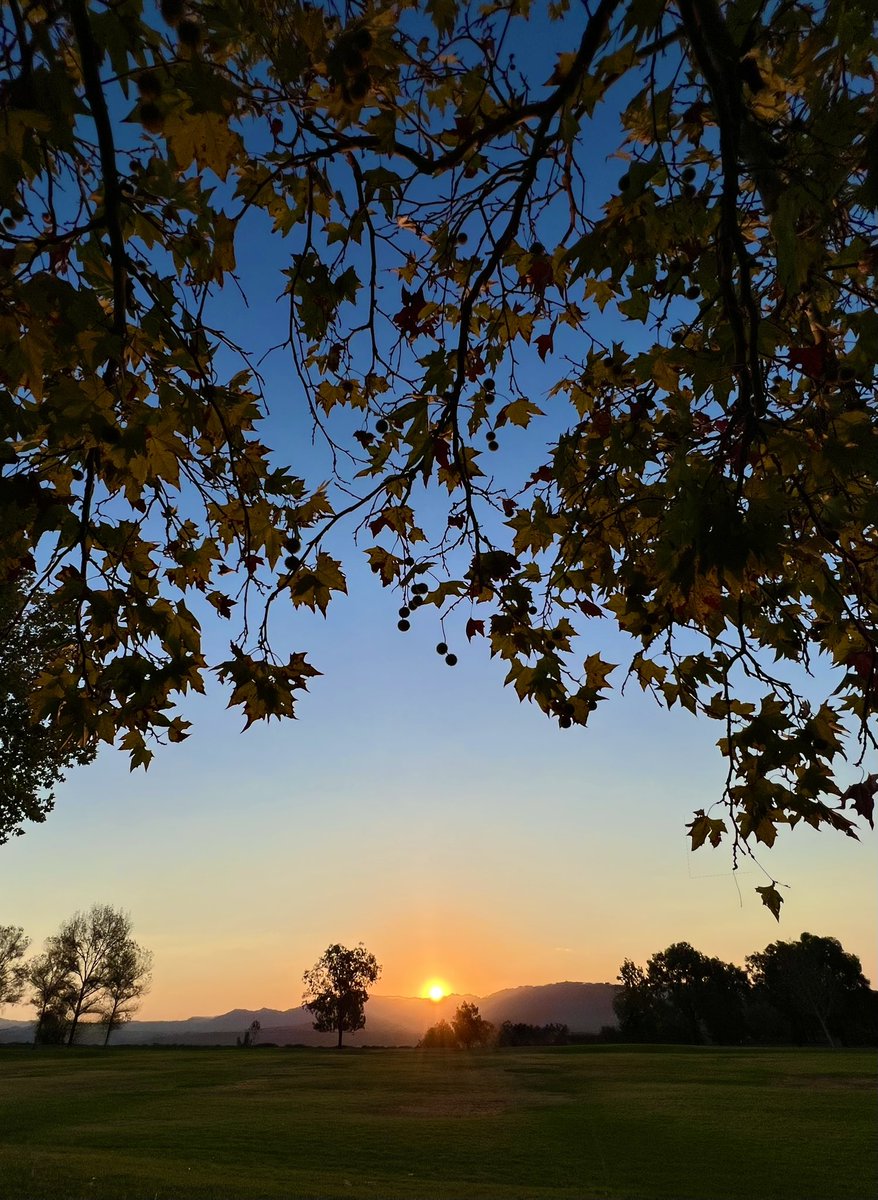 mlzema's tweet photo. Good Morning From #SoCal!
#TuesdayMorning #Sunrise #Sun #Sky #SkyPhotography #Fall #October #Morning #Tuesday https://t.co/yGRfIehS79