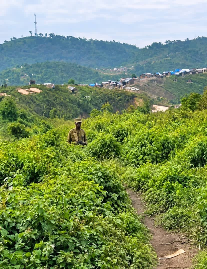 mulikuza_jordan's tweet photo. ‼️🛑‼️#Shanje : Tarafani Kalehe yaanguka mu mikono ya #Wazalendo kisha mapambano makali, waasi wa #M23_RDF wanaishiwa na nguvu na kuanza kimbia https://t.co/LH8uNVNg1q