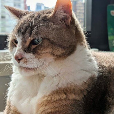 ADADO50009765's tweet photo. 週末は引きこもって好きなドラマ一気見するのが最高に幸せ。人間関係疲れたから一人の時間ください 🛋️ https://t.co/yxw95KlhvZ