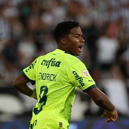 fiuzasep's tweet photo. Botafogo 3x1 Palmeiras - 2° tempo - Campeonato Brasileiro 2023. https://t.co/nqTV7uQwXJ