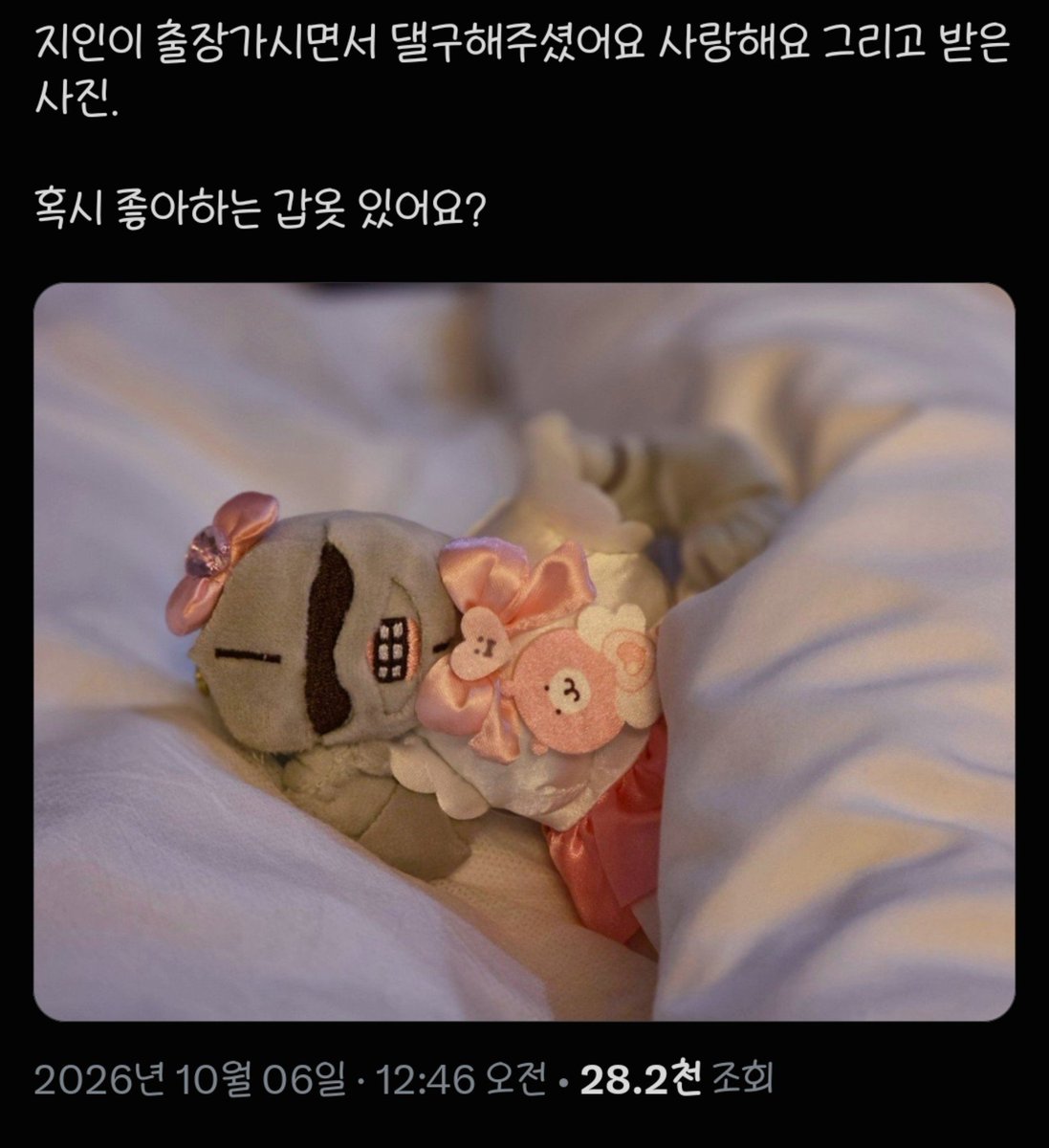hachiiwana's tweet photo. 이거 AI 아니죠??? ㅋㅋㅋㅋㅋ ㅠㅠㅠㅠ 이런 인형은 왜 있는 거냐구요😂 https://t.co/JrfU6w2YNu