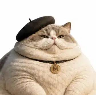 boltrickk2's tweet photo. WE CAN FINALLY RUN LE CHATON FAT ON MISTRAL MODEL https://t.co/LpJYvPrlKh