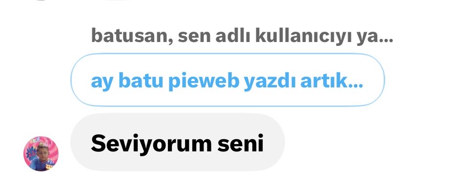 pieweb06's tweet photo. BATUNUN PİEWEB YAZMASI YETMEMİS GİBİ Bİ DE SEVİYORUM SENİ YAZDI BAYILCAM https://t.co/YHgrgaRkho