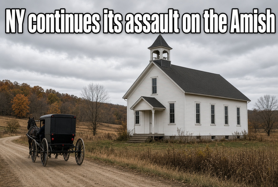 Old_SchoolEddie's tweet photo. New York is fining three private Amish schools $2,000 per child for every day an unvaccinated kid sits in class all because of their faith.
The first bill is already $118,000.
Under the state’s own reading of the law, that number can reset every school morning.
That is the whole fight.
Old Order Amish families in upstate New York say vaccination violates their faith.
The state says faith is not an excuse. 👀
The schools take no public money.
They are still being billed.
Dygert Road was fined $52,000 for 26 children.
Pleasant View, also called Twin Mountain, was fined $46,000 for 23.
Shady Lane was fined $20,000 for 10.
That is 59 kids, at the maximum $2,000 each, counted as one day out of compliance.
Then-Health Commissioner Mary Bassett signed the order on December 15, 2022, and called the total conservative for that reason.
The schools are around Clymer, Heuvelton, and the Canajoharie settlement.
Joseph Miller, Jonas Smucker, and Ezra Wengerd run them.
Footnote 9 of the Second Circuit opinion in Miller v. McDonald records the state’s view: each day an unvaccinated student attends is a fresh violation and a fresh $2,000 fine.
Another day for those 59 children is another $118,000.
A 180-day school year at that rate is about $21 million.
The families say they cannot pay the first bill.
Their lawyer, Aaron Siri, told the New York Post they can cover it only if the state takes their land.
(I feel this is exactly what this is about, a land grab)
Some in the community have talked about leaving.
For decades, a parent could claim a religious exemption.
On June 13, 2019, after measles spread through Orthodox Jewish neighborhoods in Brooklyn and Rockland County, lawmakers repealed it.
Andrew Cuomo signed the bill.
Kathy Hochul left it in force.
A doctor can still excuse a child if a shot would be medically harmful.
A parent cannot excuse a child for faith.
This sets a dangerous precedent in my opinion.
Senator James Skoufis called the old exemption made up.
Assemblyman Jeffrey Dinowitz called it utter garbage.
The schools sued and lost in federal district court, then lost again in the Second Circuit.
The Supreme Court sent the case back after Mahmoud v. Taylor.
On June 30, 2026, the appeals court ruled against them a second time.
The families filed a new petition on September 28.
It is docketed as No. 26-438.
The Court has not said if it will hear it.
These are farm families where faith is at their center, running their own schools.
The penalty for keeping the doors open is a fine that can start over every day.
The case is Miller v. McDonald, and the petition is already at the Supreme Court.
