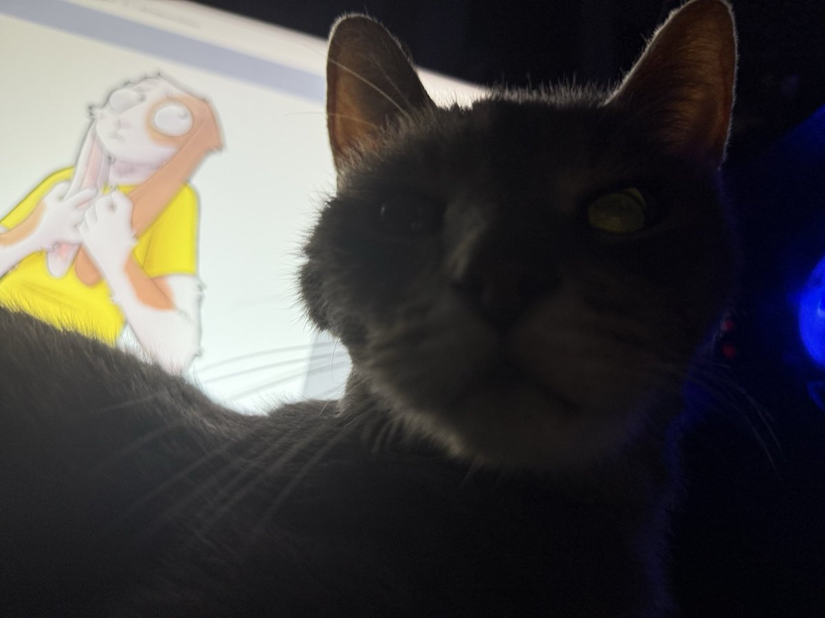 leadfailure's tweet photo. rabbit morty #ok #yay https://t.co/ZHVV3Wscwo