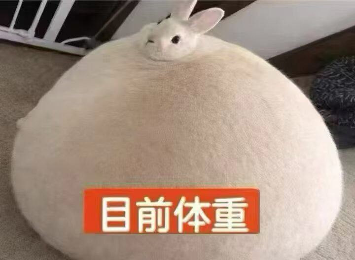 JfsiN9's tweet photo. 在杳无音讯的日子根本没有幸福，只有日渐增长的体重彰显我内心的忧郁…… https://t.co/MgG2s3lXXB