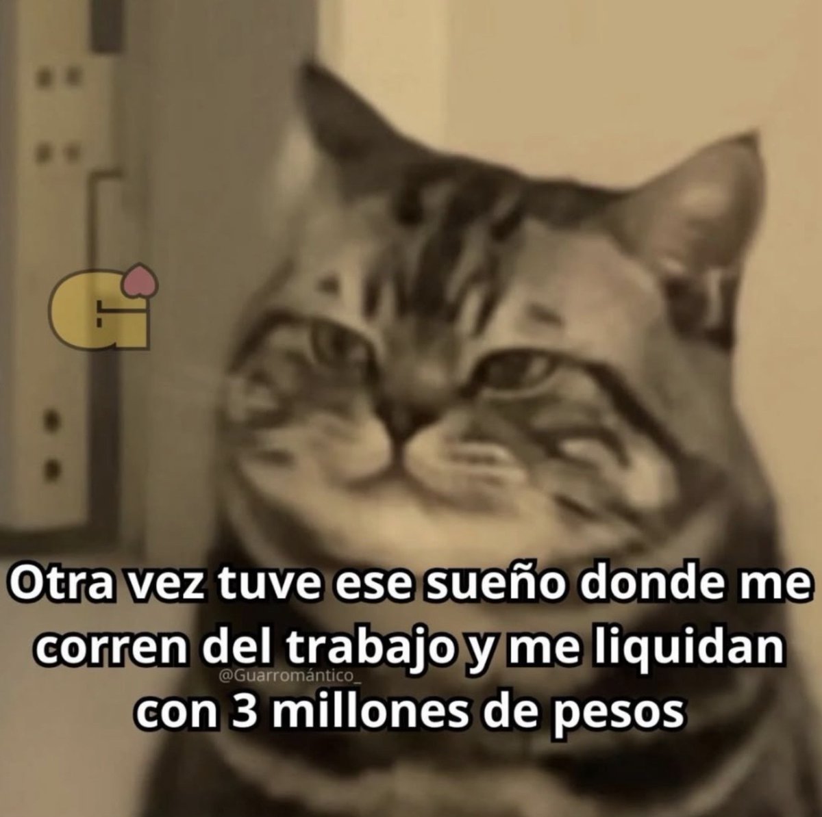 Guarromantico_'s tweet photo. Otra vez. https://t.co/u7gyFGNZ9B