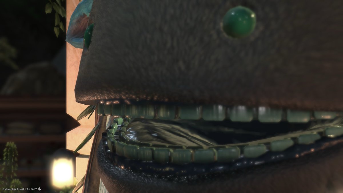 GAGAforgame's tweet photo. トトロ貰ったけどお口が少し気になってしまって覗いてみたら、歯がウエストランド井口さんやった。
イイ。 https://t.co/OEYv56LnTN