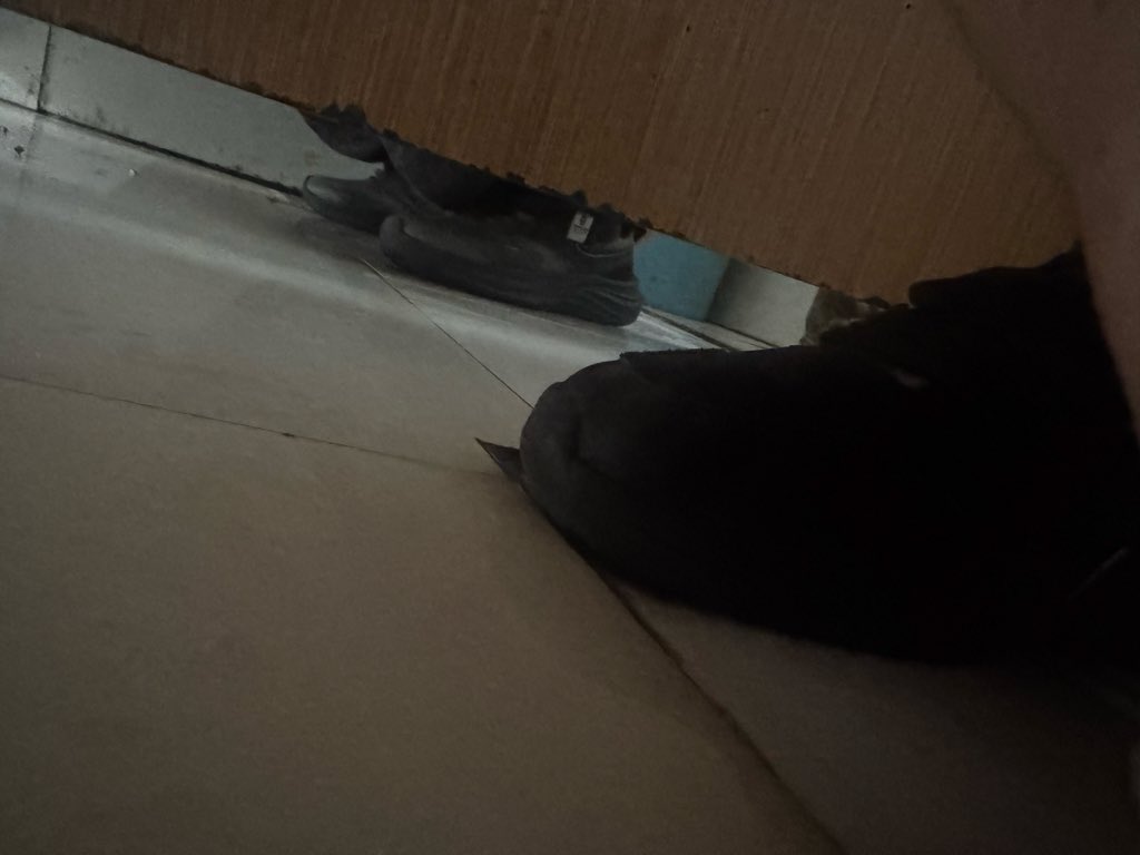 louischadwpl's tweet photo. 商场厕所光线太暗，好烦啊，裤子挡住了，近距离有被发现的可能，不太好偷拍，求支招
#商场厕所 #偷拍 #厕所偷拍 https://t.co/TJmINyfVsc