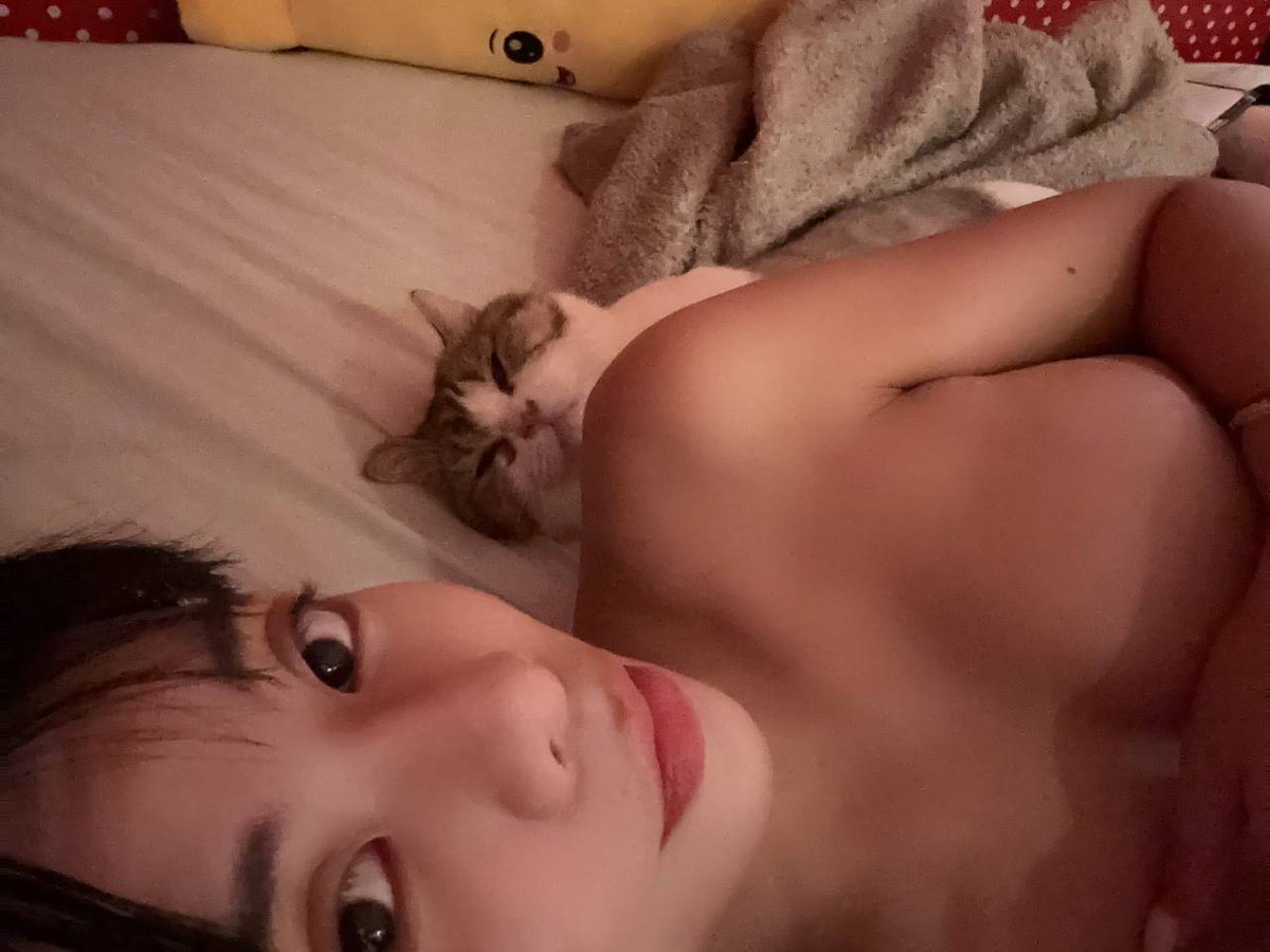 QQ_ouobb's tweet photo. 你們比較喜歡貓貓還是~~~
我? https://t.co/x1siQOAwhy