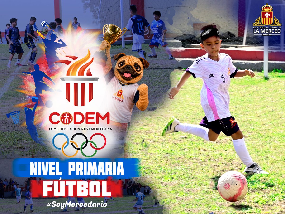 MercedHuacho's tweet photo. CODEM FÚTBOL | NIVEL PRIMARIA
El entusiasmo y la energía estuvieron presentes en cada encuentro del CODEM Fútbol. Nuestros estudiantes del nivel primaria disfrutaron de una jornada deportiva en la que pusieron en práctica sus habilidades, compartieron con sus compañeros https://t.co/hgtzWWv7mI