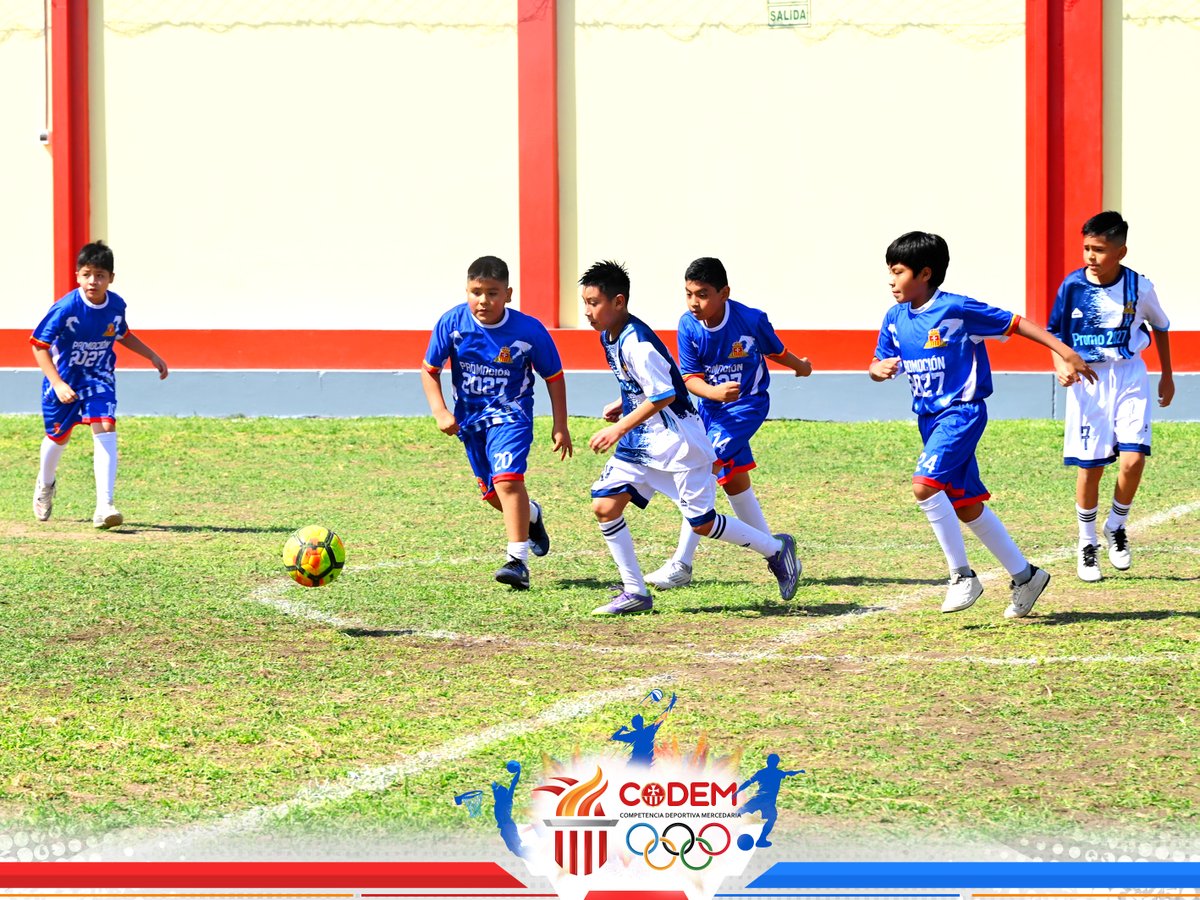 MercedHuacho's tweet photo. CODEM FÚTBOL | NIVEL PRIMARIA
El entusiasmo y la energía estuvieron presentes en cada encuentro del CODEM Fútbol. Nuestros estudiantes del nivel primaria disfrutaron de una jornada deportiva en la que pusieron en práctica sus habilidades, compartieron con sus compañeros https://t.co/hgtzWWv7mI