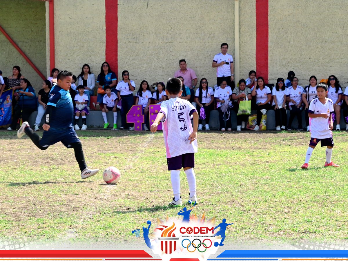 MercedHuacho's tweet photo. CODEM FÚTBOL | NIVEL PRIMARIA
El entusiasmo y la energía estuvieron presentes en cada encuentro del CODEM Fútbol. Nuestros estudiantes del nivel primaria disfrutaron de una jornada deportiva en la que pusieron en práctica sus habilidades, compartieron con sus compañeros https://t.co/hgtzWWv7mI