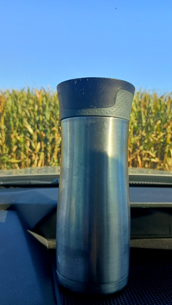 JohnnyForeRight's tweet photo. Corn next to work parking lot looking very fall like! 75F in the 317 later. Work, Coffee House performances at the HS tonight. Make it a good Tuesday! #ButFirstCoffee https://t.co/MZmVoluuHb