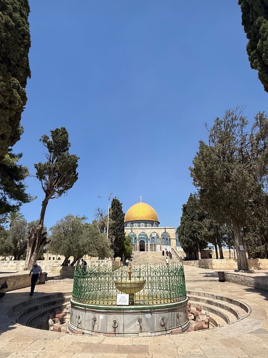 zhrt_alaqsy's tweet photo. من علياء القدس.. سلاماً أقصانا  ♥ https://t.co/EqZc90wzCP