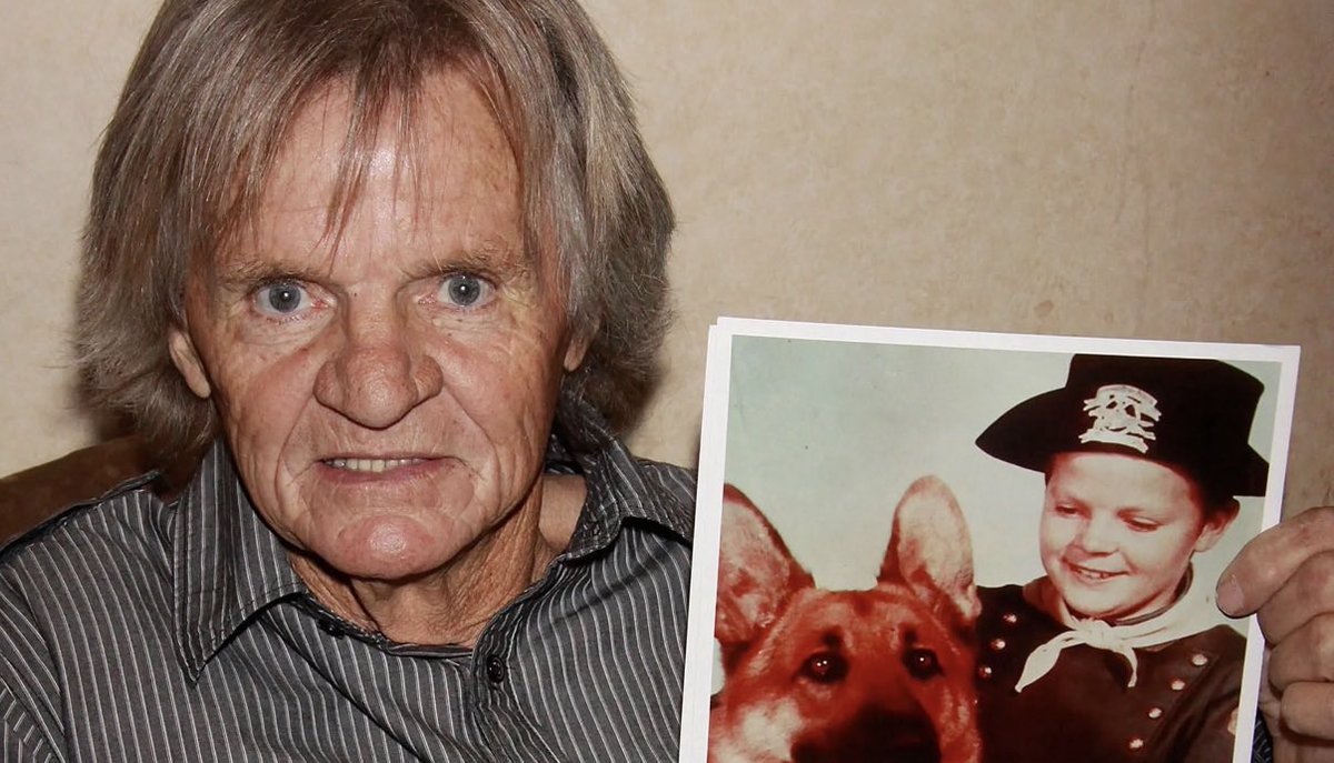 Visionaryvoid's tweet photo. Lee Aaker is a perfect example of a child star who was washed up while still in his teens. Born in 1943 he began his career aged 8. He was in big films such as Hondo with John Wayne, The Atomic City with Gene Barry. He had parts in High Noon and The Greatest Story Ever Told. In O. Henry’s Full House he was billed above Marilyn Monroe.

His biggest role was as Rusty in The Adventures of Rin Tin Tin which ran from 1954 - 1959. After that he had a few guest shots, then the work dried up. "I found it hard to adjust and began doing guest shots, I realised that something had changed. I wasn't the centre of attention any more. My folks had always told me that my career might not last, but when it happened, it was still a hard thing.”

He quit acting at 20 and turned to carpentry. A good heart he taught skiing to underprivileged children and people with disabilities in California. Illness in his 60s forced him to live on only monies from the Screen Actors Guild. When he died in 2021 aged 77 he was alone and his body was unclaimed. He didn’t leave enough money for his burial. This was taken care off as he was an Air Force veteran and entitled to burial benefits.