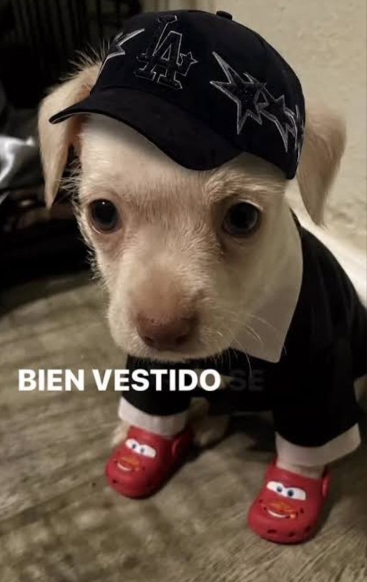 _lilJJ's tweet photo. Quero tanto que meu tênis novo chegue logo que eu vo fica em casa assim https://t.co/iowT2rwe1Y