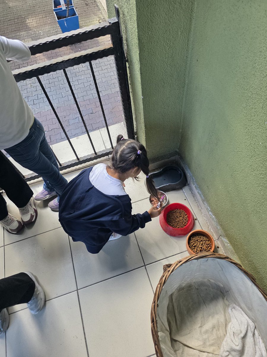 sariyermipgin's tweet photo. 3-A Sınıfı

4 Ekim Dünya Hayvanları Koruma Günü etkinliği
@Sariyer_MEM https://t.co/cVb6sHtYoE