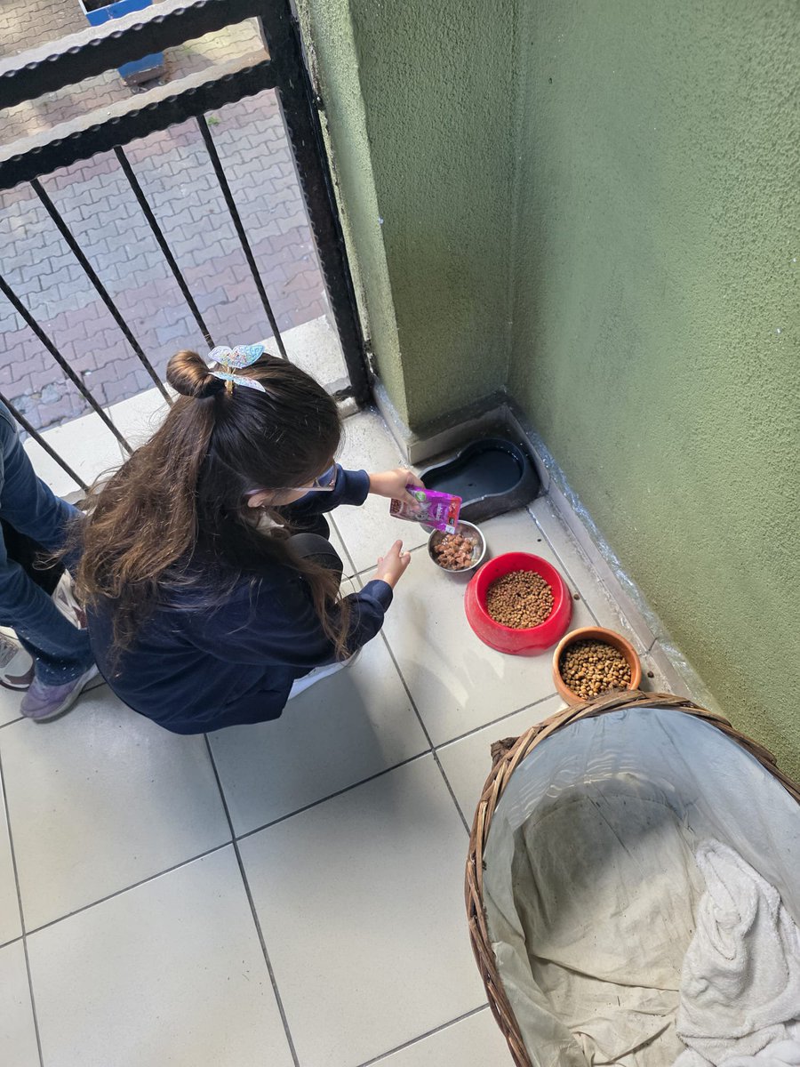 sariyermipgin's tweet photo. 3-A Sınıfı

4 Ekim Dünya Hayvanları Koruma Günü etkinliği
@Sariyer_MEM https://t.co/cVb6sHtYoE