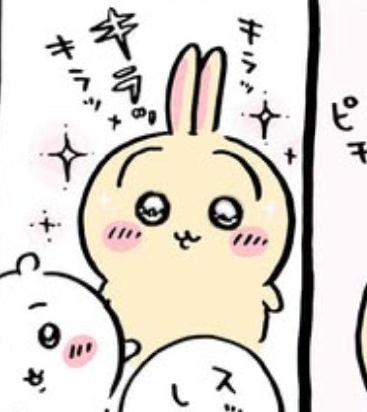 meowkkotsu's tweet photo. usagi with extra sparkly eyes https://t.co/UBhJM2UPeR