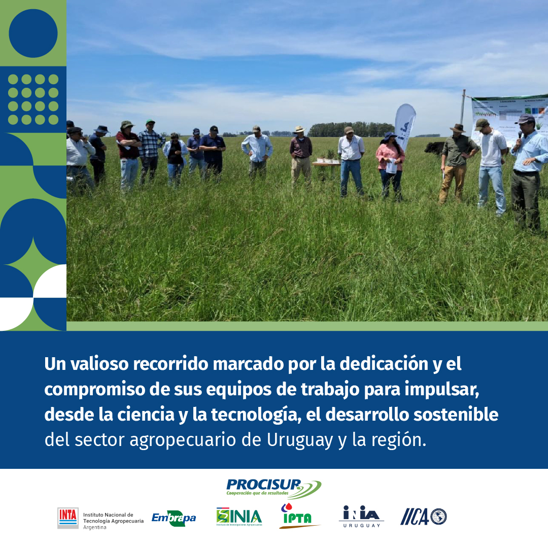 procisur's tweet photo. 🎉 ¡Feliz aniversario, @INIA_UY!

Desde #PROCISUR destacamos su trayectoria y contribución al fortalecimiento de la investigación, la innovación, y la construcción de sistemas productivos más sostenibles y competitivos en el país y la región.

@M_MSierra https://t.co/lrcP3sS9JK