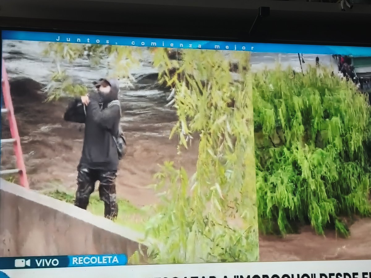 BrookBinksYoho's tweet photo. El medio show mediático y las ganas de figurar son más importantes q rescatar al perro, esperando hasta el Gope cuando cada minuto q pasa aumenta el caudal, si hace horas era bajar una puta escalera y subirlo con un arnés.
#TuDia #ContigoChv #RioMapocho #Morocho https://t.co/lIODNPZAD3