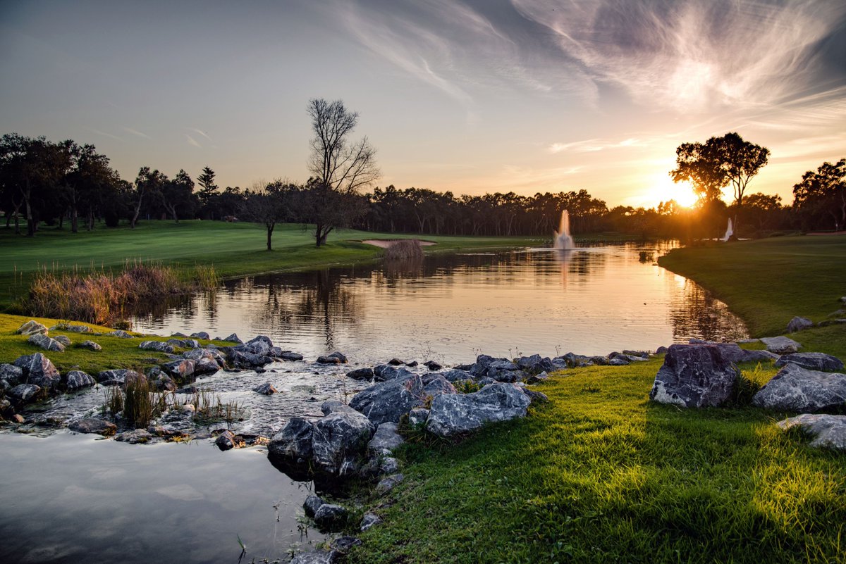IGFGolf tweet picture