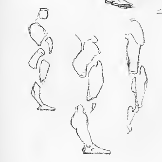 RXMETALSUN's tweet photo. @spoiLOL Thanks! For anyone who wants to draw legs like these, I really recommend George Bridgman's books; more specifically "Bridgman - Complete Guide to Drawing from Life" (the 4th image is an anatomy guide for my Reimu sprite) https://t.co/hV9stRcrhr