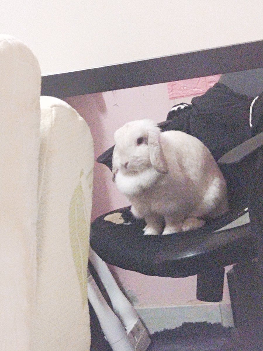 Muumi_cha's tweet photo. คืนร่าง https://t.co/drWXDrYOeT