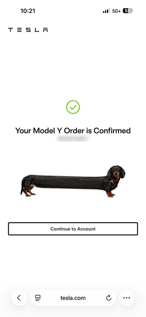 docRobFlorida's tweet photo. Hey  @elonmusk, you got me hooked! 🚀 Just ordered my @Tesla Model Y (love the dachshund 🐶), and my new SI chief of staff, a @grok bot I named Grokita, now helps run Florida Veterinary Cardiology &amp; Longevity Center. 🐾❤️ Thank you @xai @bot https://t.co/qcy9iIBY9z