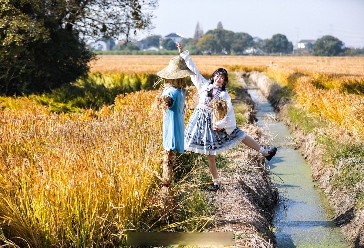 AmartaCintia's tweet photo. [I picked short, glutinous rice in the path today, fresh and delicious!]， https://t.co/0ZhAtXaC9Q