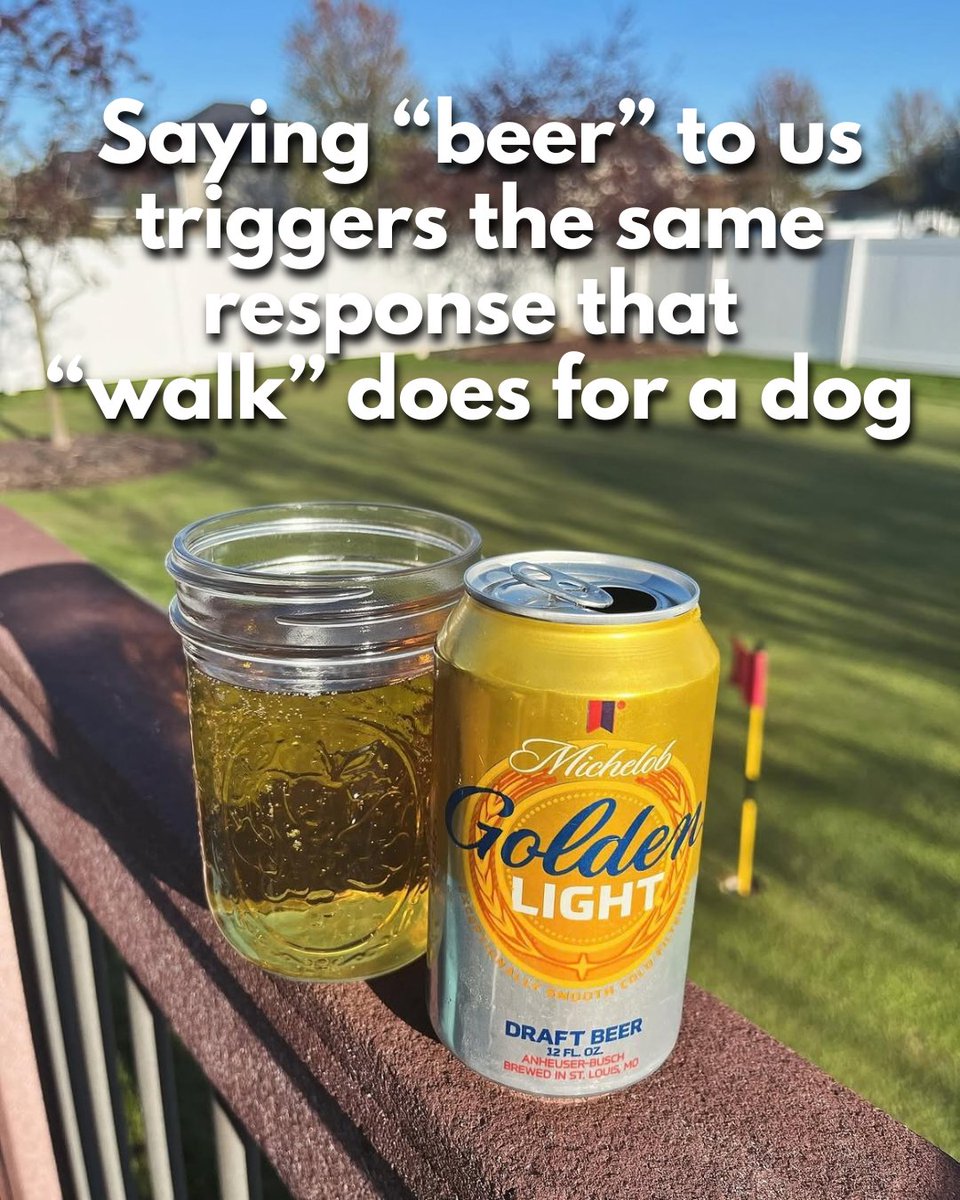 MichGoldenLight's tweet photo. Beers?? 👀👀👀 https://t.co/JPOK09s6gM